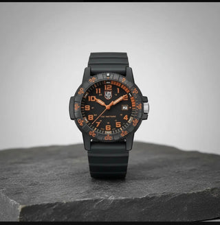 Luminox Sea Turtle Novo